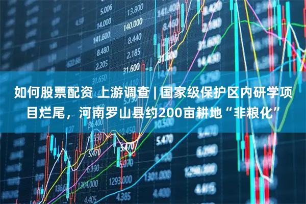 如何股票配资 上游调查 | 国家级保护区内研学项目烂尾，河南罗山县约200亩耕地“非粮化”
