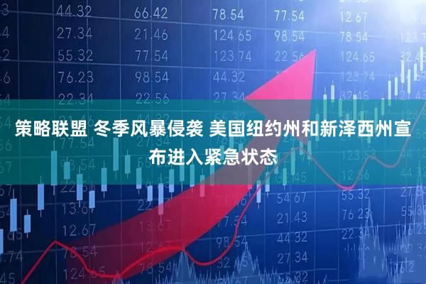 策略联盟 冬季风暴侵袭 美国纽约州和新泽西州宣布进入紧急状态