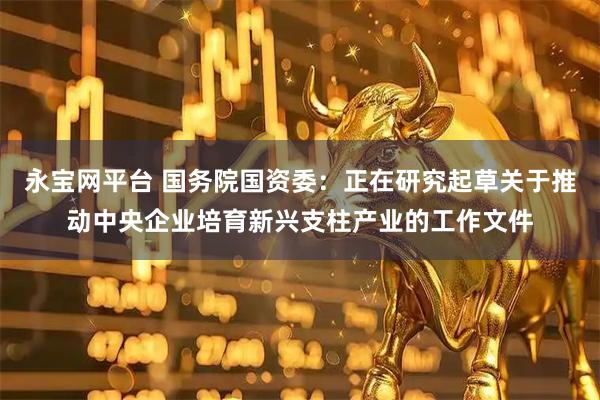 永宝网平台 国务院国资委：正在研究起草关于推动中央企业培育新兴支柱产业的工作文件