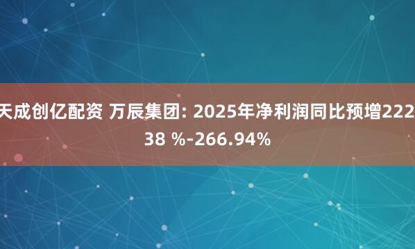 天成创亿配资 万辰集团: 2025年净利润同比预增222.38 %-266.94%