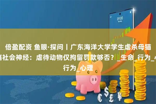 倍盈配资 鱼眼·探问丨广东海洋大学学生虐杀母猫刺痛社会神经:虐待动物仅拘留罚款够否?_生命_行为_心理