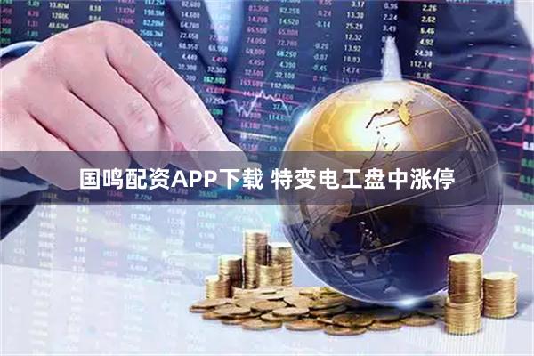 国鸣配资APP下载 特变电工盘中涨停